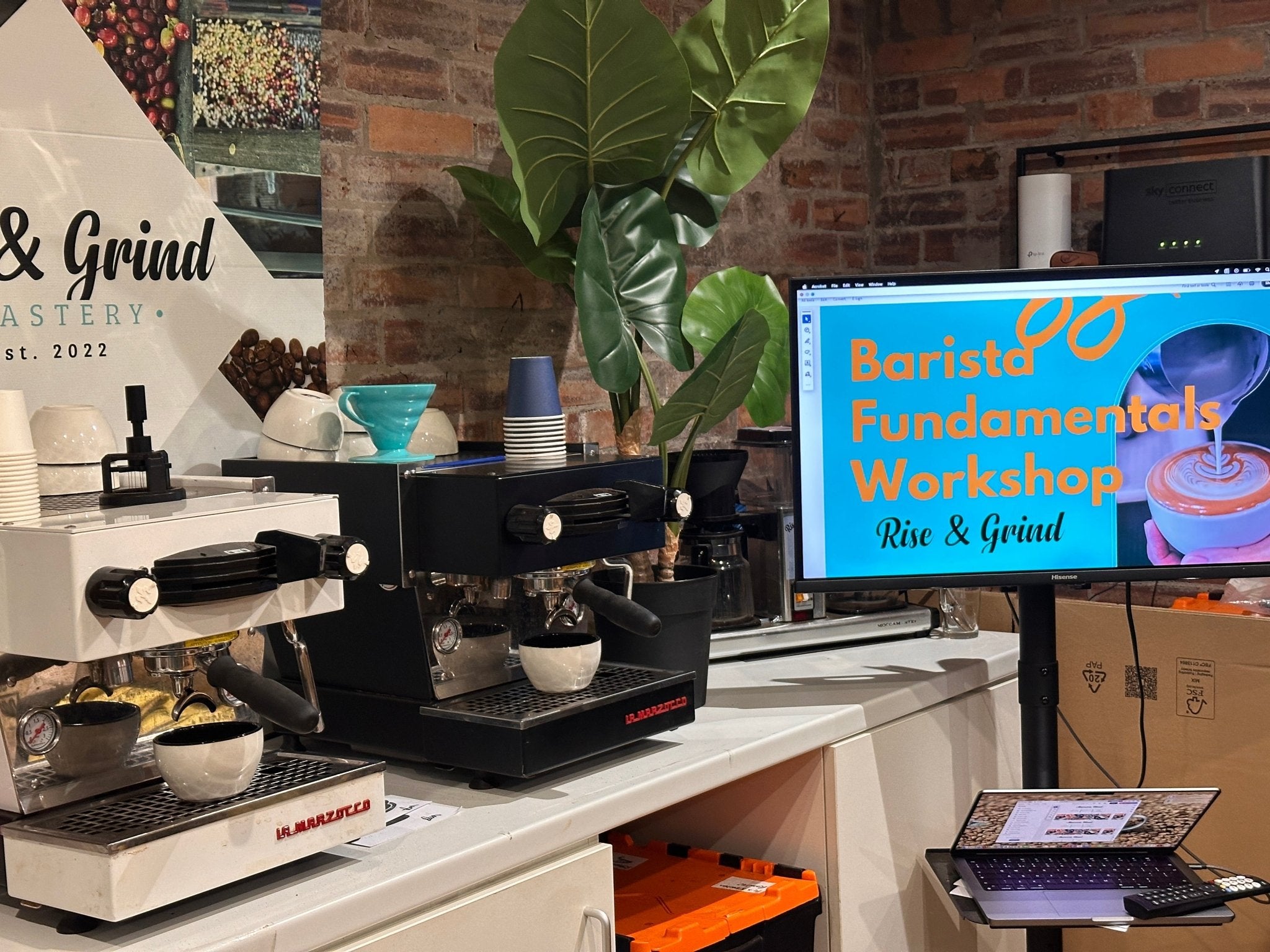 Barista Fundamentals Workshop – 2 - Hour Specialty Coffee Training - Rise & Grind Roastery -