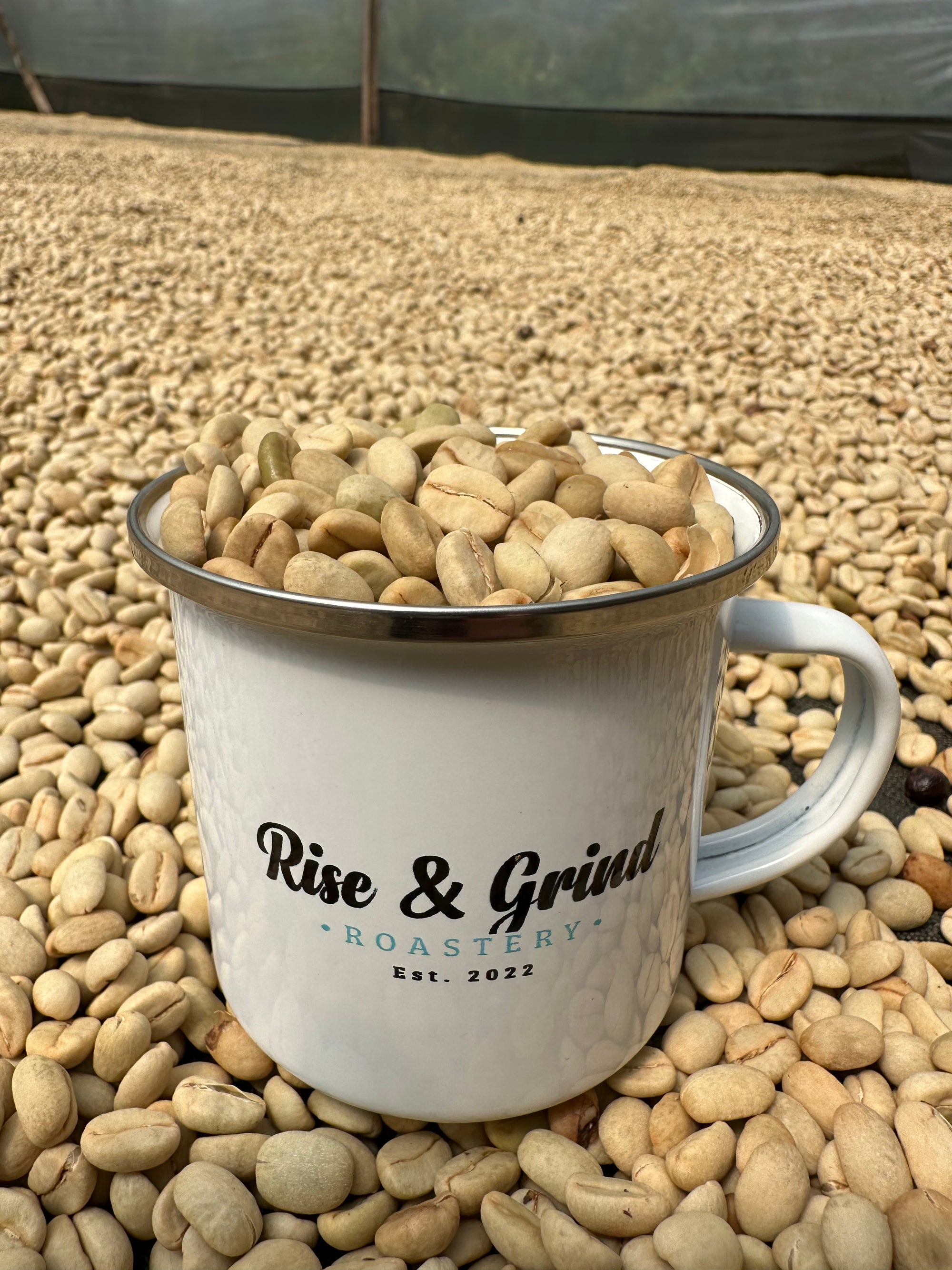 Single Origin Speciality Coffee