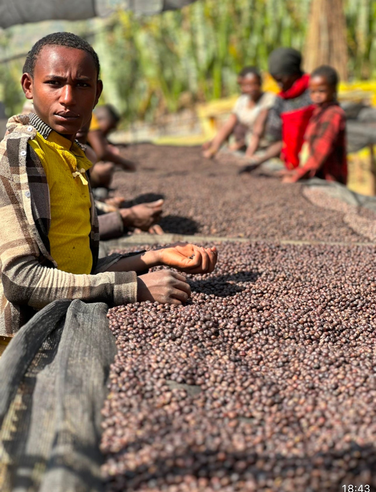 Speciality coffee from Africa 