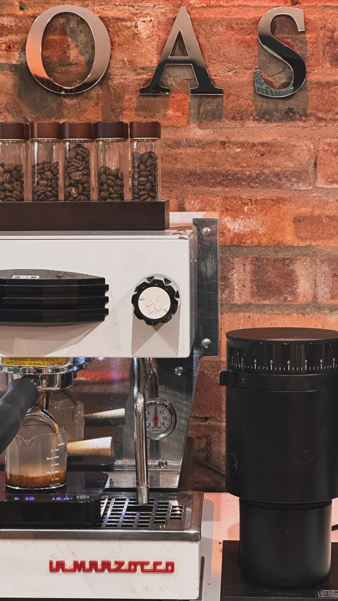 Barista Fundamentals Workshop – 2 - Hour Specialty Coffee Training - Rise & Grind Roastery - 