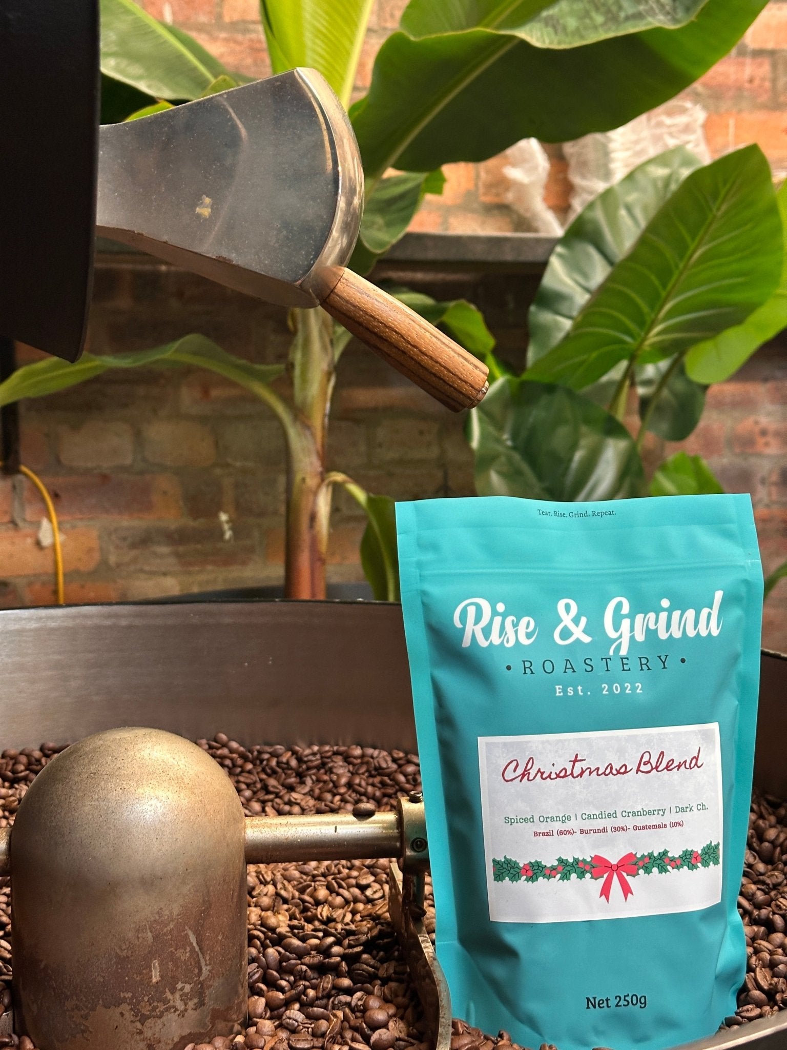Festive Coffee Blend - Rise & Grind Roastery - 250g - Whole Bean - 