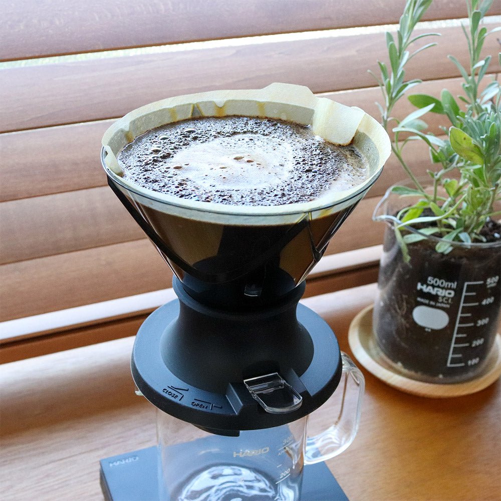 Hario V60 Mugen x Switch Coffee Dripper - Rise & Grind Roastery - 
