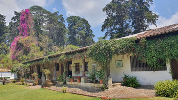 Guatemala - San Jose Ocaña - Rise & Grind Roastery-250g-Whole Bean-